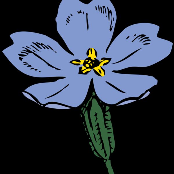 johnny automatic primrose Thumbnail