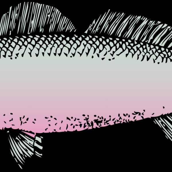 johnny automatic fish Thumbnail