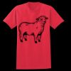 PP T-Shirt Thumbnail