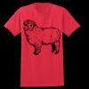 PP T-Shirt Thumbnail