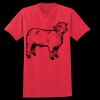 PP T-Shirt Thumbnail
