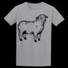 Children's Soft Style T-Shirt Thumbnail